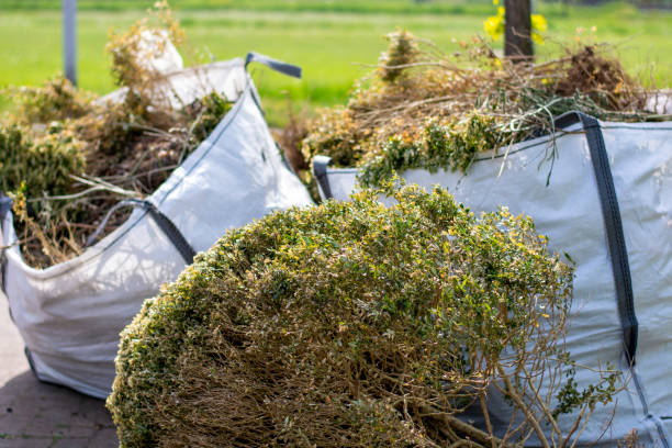 Best Junk Removal Near Me  in St Anthony, MN